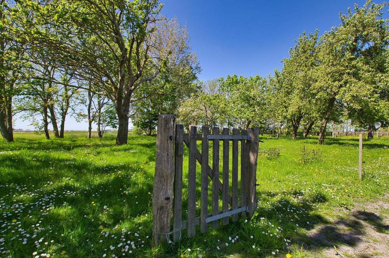 Fewo Auf Dem Lande / Nahe Spo Tumlauer Koog Exteriér fotografie