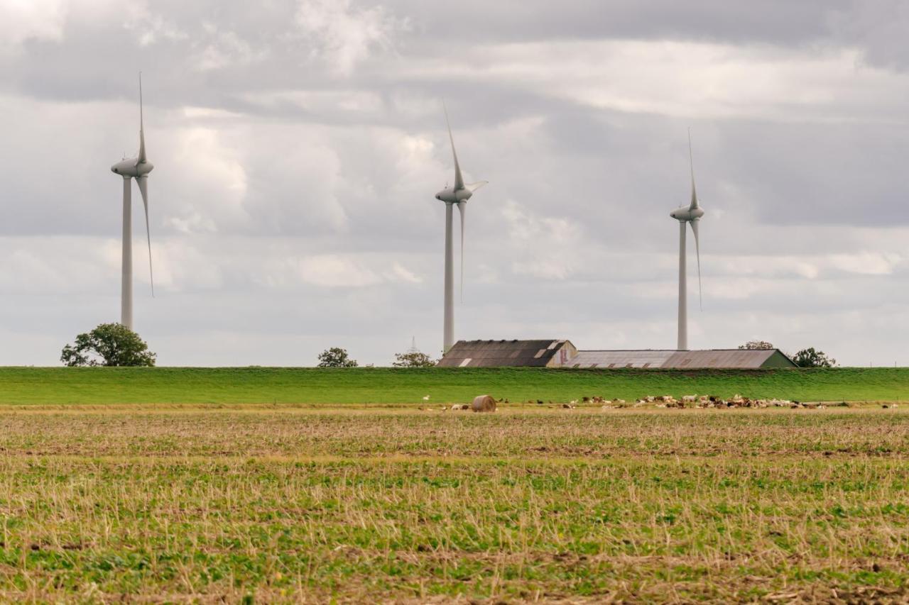 Fewo Auf Dem Lande / Nahe Spo Tumlauer Koog Exteriér fotografie