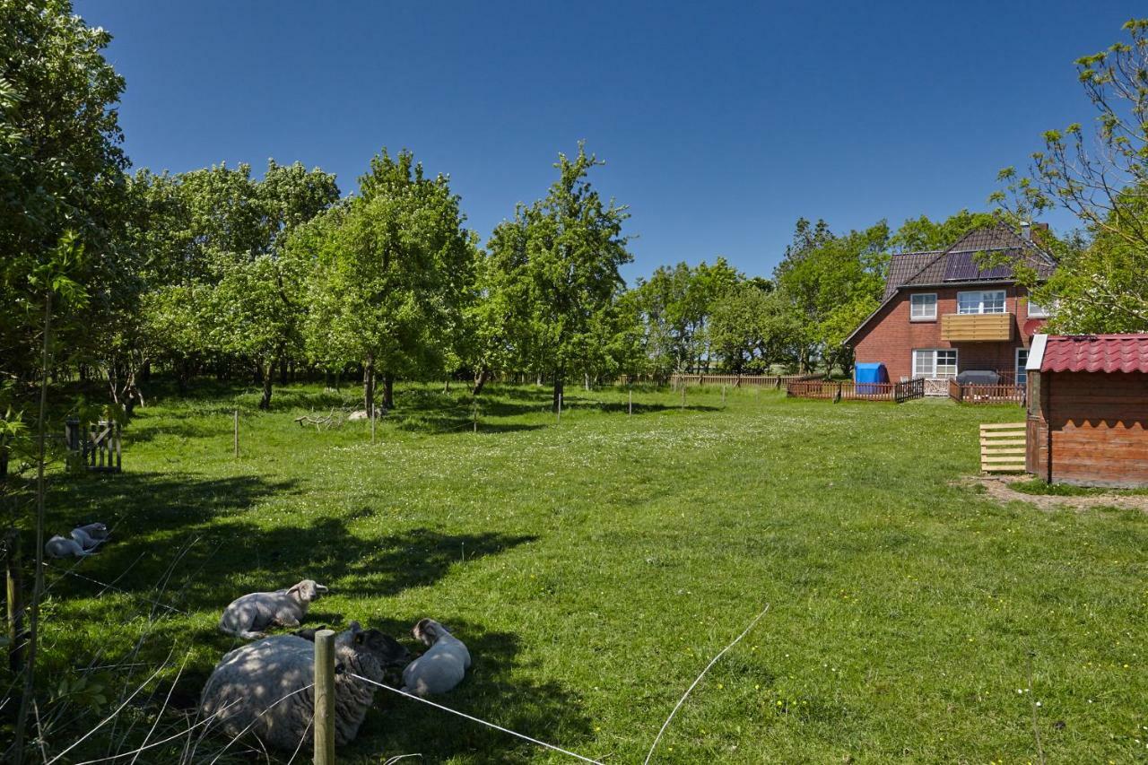 Fewo Auf Dem Lande / Nahe Spo Tumlauer Koog Exteriér fotografie